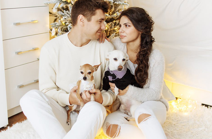 Προβλέψεις Ταρώ εβδομάδας 17 έως 23/12/2019 video από τον Μ. Μηκίδη.