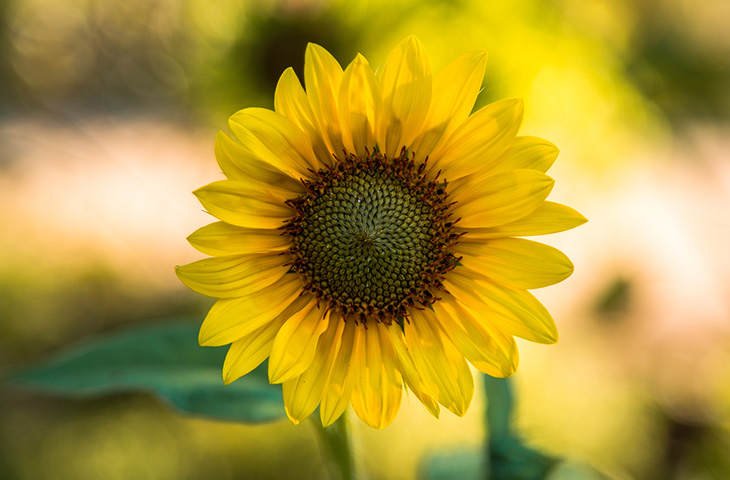 Ανάδρομος Ερμής σε σύνοδο με τον Άρη στις 15/3/2026: Σύγκρουση ταχύτητας και σκέψης, νέες αποφάσεις.
