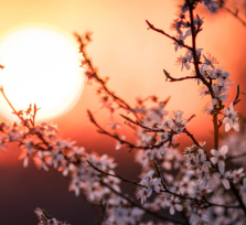 Πανσέληνος στον Ζυγό στις 2/4/2026, πως επηρεάζει το ζώδιό σου.
