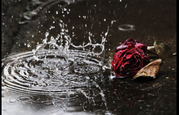 Προβλέψεις Ταρώ εβδομάδας 10 ως 16/11/2025, από τον Μάνο Μηκίδη (video).