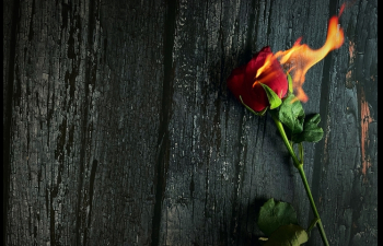 Ο Ερμής σε σύνοδο με την Αφροδίτη στις 28/2/2026: Επαναξιολόγηση αξιών, σχέσεων και επιλογών.