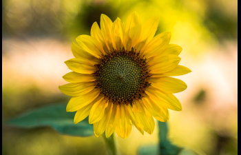 Ανάδρομος Ερμής σε σύνοδο με τον Άρη στις 15/3/2026: Σύγκρουση ταχύτητας και σκέψης, νέες αποφάσεις.