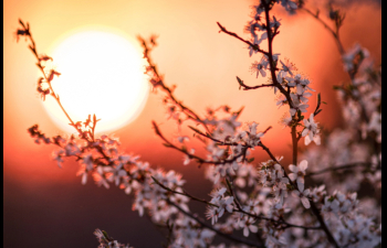 Πανσέληνος στον Ζυγό στις 2/4/2026, πως επηρεάζει το ζώδιό σου.